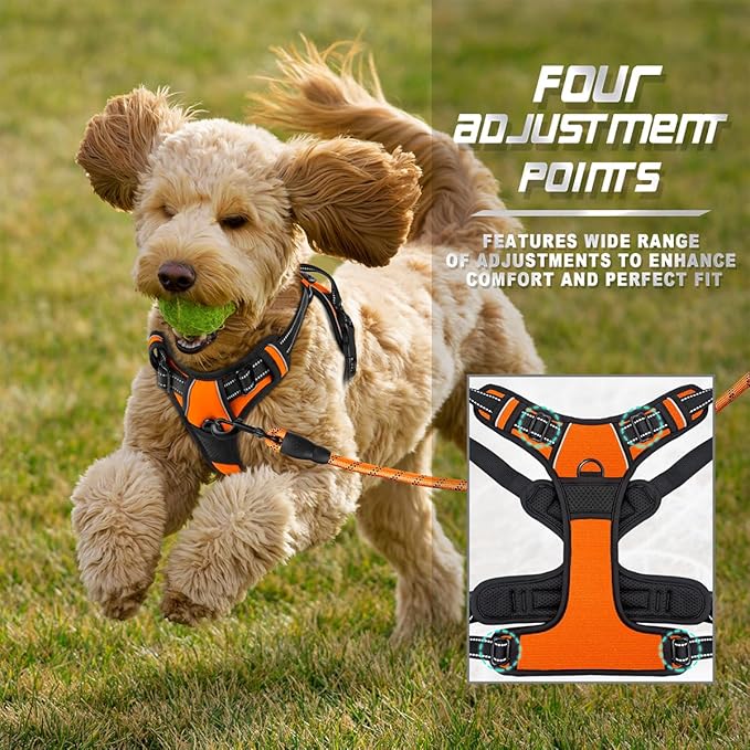 BARKBAY No Pull Dog Harness Front Clip Heavy Duty Reflective Easy Control Handle for Large Dog Walking(Orange,XS)