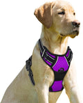 BARKBAY No Pull Dog Harness Front Clip Heavy Duty Reflective Easy Control Handle for Large Dog Walking(Purple,XS)