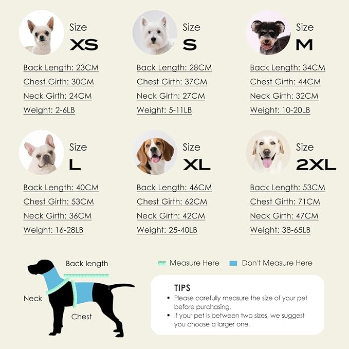 SAWMONG Dog Sweater, Dog Sweaters for Small Dogs Girls Boys, Pullover Turtleneck Knitted Doggy Sweatshirt, Cold Weather Pet Clothes（Green, X-Small