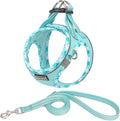 Mercano Soft Mesh Dog Harness and Leash Set, No-Chock Step-in Reflective Breathable Lightweight Easy Walk Vest Harnesses with Safety Buckle for Small Dogs, Cats (Light Blue, M)
