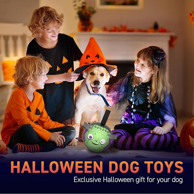 QDAN Dog Toys Ball: Dog Soccer Balls with Straps- Outdoor Herding Balls Toys for Small Medium Dogs- Christmas Puppy Pet Birthday Gifts- 6 Inch Purple Green