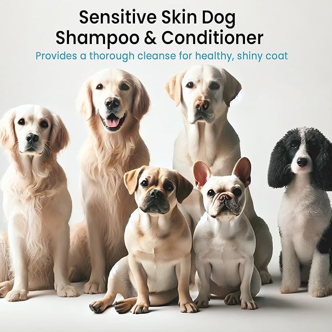 ALFIE'S CHOICE Dog Shampoo & Conditioner Set | 16 fl oz Each | Lavender & Rosemary with Biotin for Itchy Skin, Allergies & Odor | Moisturizing & Detangling for All Breeds