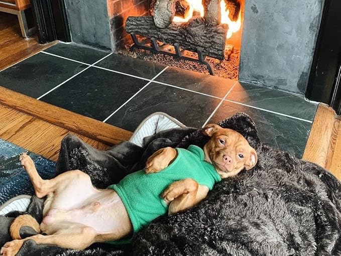 Gooby - Fleece Vest, Small Dog Pullover Fleece Jacket with Leash Ring, Green, X-Large