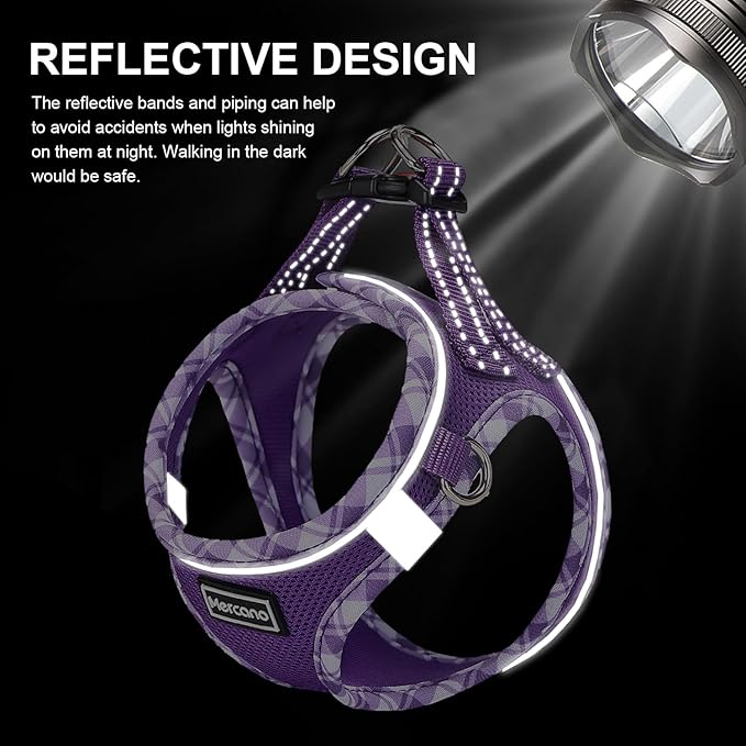 Mercano Soft Mesh Dog Harness and Leash Set, No-Chock Step-in Reflective Breathable Lightweight Easy Walk Vest Harnesses with Safety Buckle for Small Dogs, Cats (XL, Purple)
