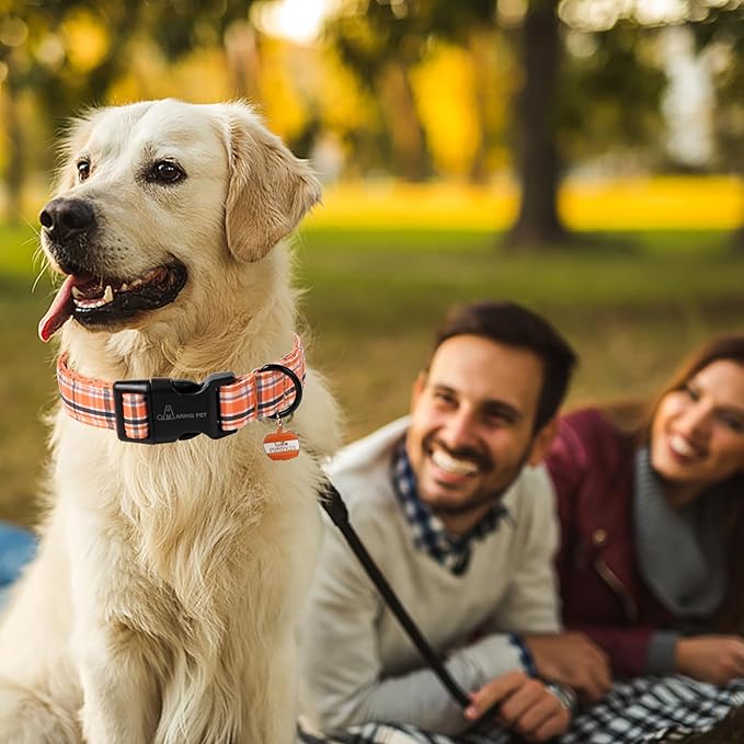 ARING PET Puppy Fall Dog Collar, Autumn Orange Black White Plaid Pet Collars for Small Medium Large Girl Boy Dogs Halloween-M Size