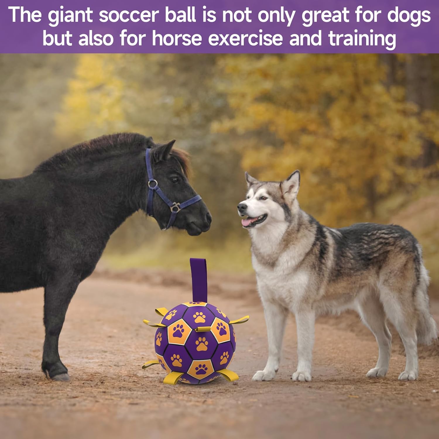 QDAN Extra Large Dog Toys Soccer Ball - Durable Dog Balls for Extra Large Dogs with Straps, Interactive Dog Tug Toy with Strap for Tug of War (9 Inch)