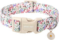 ARING PET Floral Dog Collar, Cute Purple Flower Spring Summer Pet Collars with Quick Release Buckle for Puppy Small Medium Large Boy Girl Dogs-L