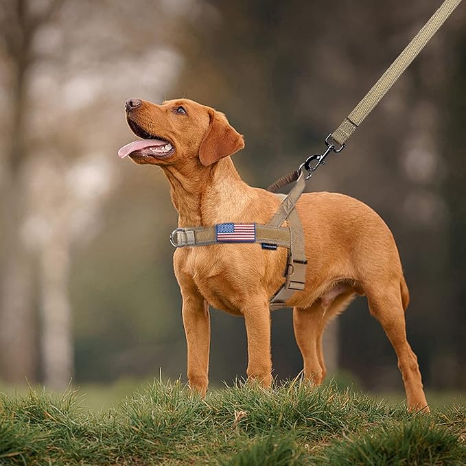 Annchwool No Pull Dog Harness with Padded Handle+5 Ft Leash,Reflective Strip Escape Proof and Quick Fit to Adjust Dog Harness,Easy for Training Walking for Small & Medium and Large Dogs(Brown-Set,S)