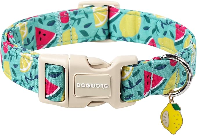 DOGWONG Summer Dog Collar, Summer Lemon Watermelon Dog Collars, Adjustable Cute Boy Pet Collars Girl Design Dog Collar for Small Medium Large Dogs