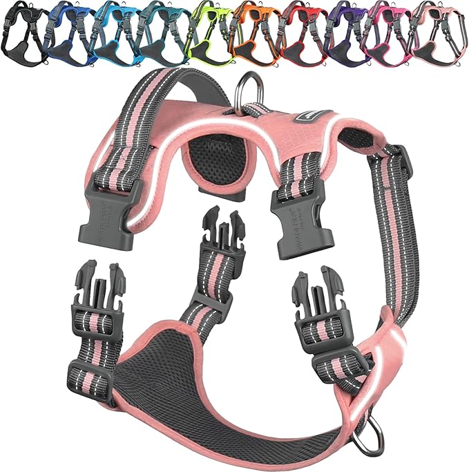 VIVAGLORY Dog Harness Easewalk No Pull Dog Harness with Handle & Front Back Clip for Training Lifting, Easy On Adjustable Padded No Pull for Pet & Puppy, L, Sakura Pink