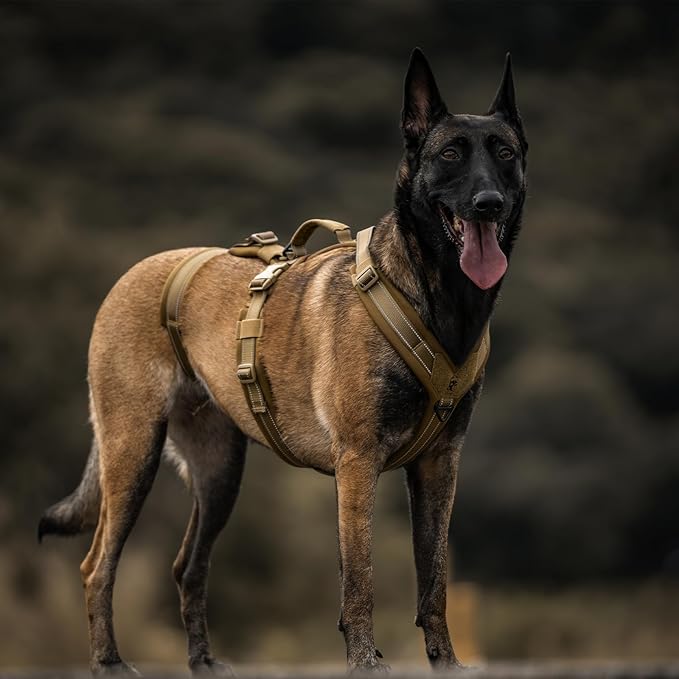OneTigris Dog Harness No Pull, Adjustable Tactical Harness with Soft Padding, Y-Shaped Reflective Easy Walk Dog Harness for Medium and Large Dogs