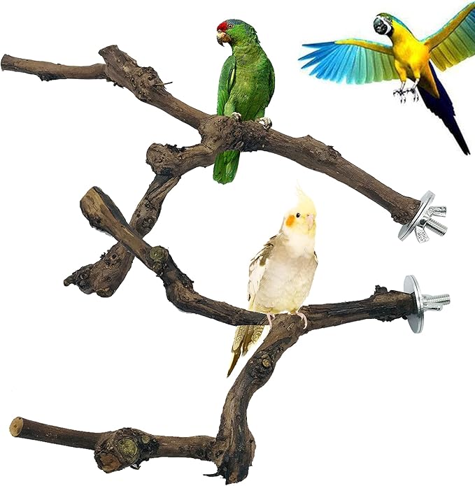 Allazone 2 PCS Natural Grape Stick Fork Bird Perch Bird Standing Stick Chewing Bird Toys Natural Grapevine Bird Cage Perch for Parrot Cages Toy for Cockatiels, Parakeets, Finches
