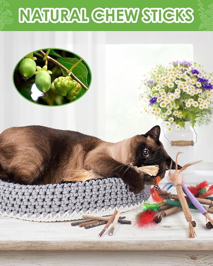 TINDTOP Silvervine Chew Sticks for Cats, 12 Pack Natural Catnip Chew Toys for Kittens Teeth Cleaning, Matatabi Dental Care, Increase Appetite Cat Dental Toy