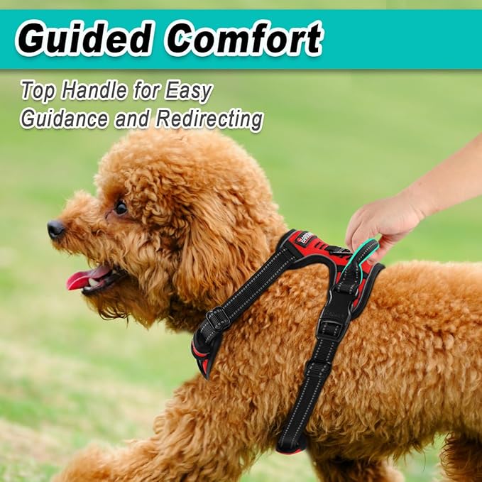 BARKBAY Dog Harness No Pull for Small Dogs - Adjustable, Reflective, Comfortable, No Choke, Heavy-Duty - Perfect for Outdoor Training, Walking, and Hiking - Strong & Durable - XS & Red