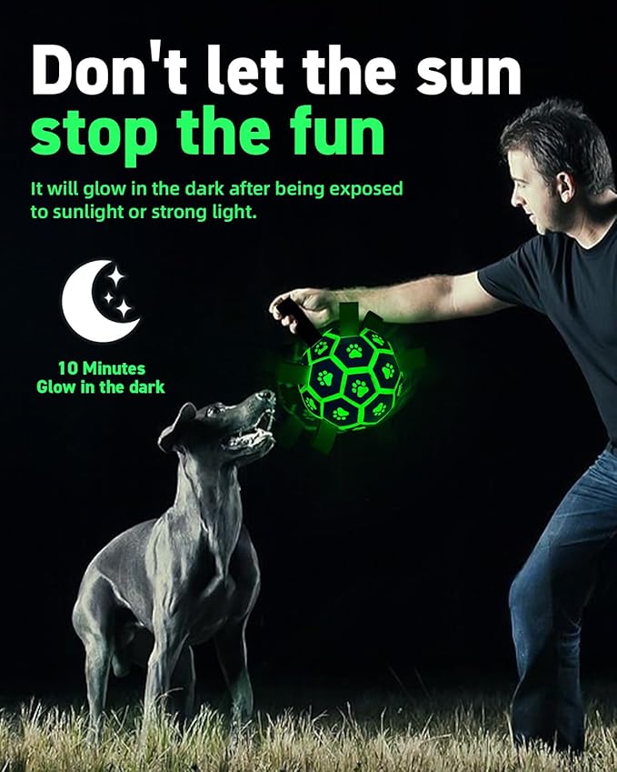 QDAN Premium Glow in The Dark Dog Toys, Dog Ball with Straps, Soccer Ball for Dogs, Outdoor Dog Toys, Pet Birthday Toys, Puppy Essentials for Small to Medium (6Inch)