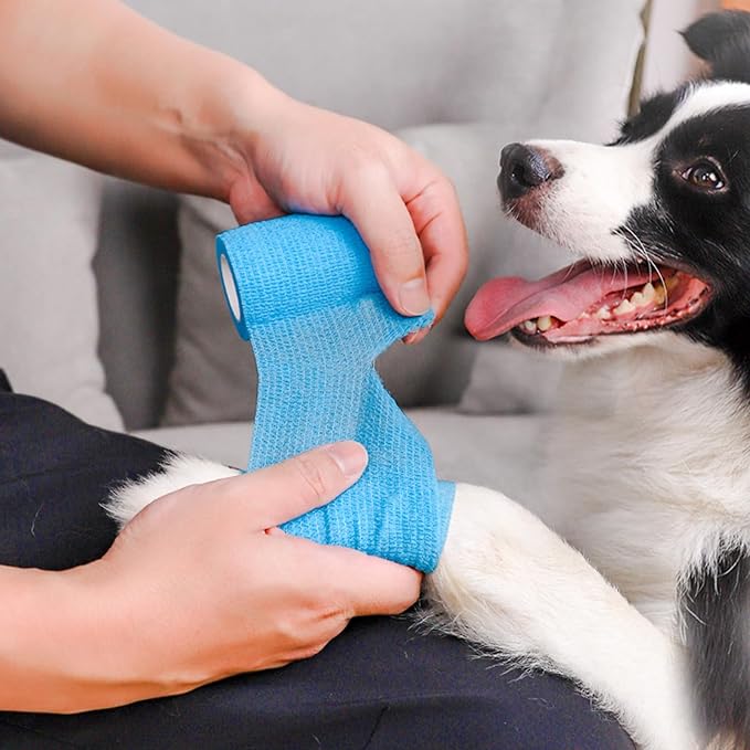 48 Rolls Self Adhesive Bandage Wrap, Vet Wrap 2 Inch for Horses Dogs Wounds Care, Self Sticking Elastic Bandage Wrap Tape for Wrist, Ankle, Sports, Tatto (Mixed)