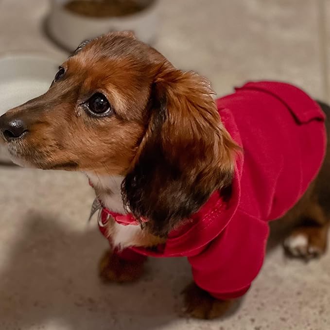 Jecikelon Winter Dog Hoodie Sweatshirts with Pockets Warm Dog Clothes for Small Dogs Chihuahua Coat Clothing Puppy Cat Custume (Wine red, XX-Small)