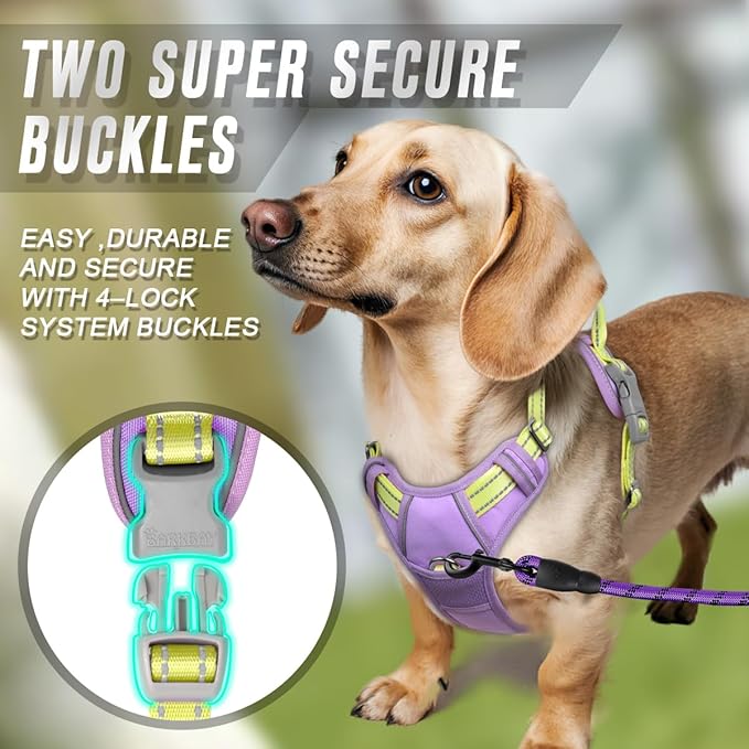 BARKBAY No Pull Dog Harness Front Clip Heavy Duty Reflective Easy Control Handle for Large Dog Walking(Violet Purple & Sunlight,XS)