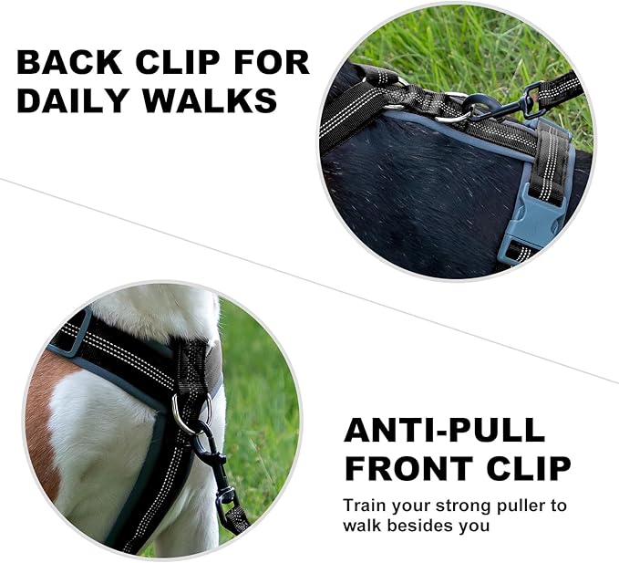 Plutus Pet No Pull Dog Harness, Adjustable Nylon Harness with Soft Padding, Reflective and Heavy Duty Dog Harness for Small, Medium, Large Dogs(Black, M)