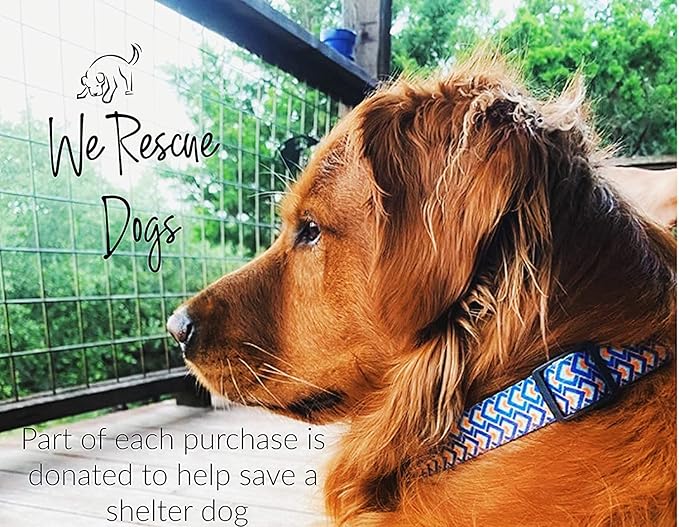 Lucky Love Dog - Adjustable Dog Collar with Easy Click Buckle for Small to Large Ones, Durable, & Comfortable for Male & Female Dogs, Pet Collar for Puppies & Adult Dogs - Murphy, Extra Large