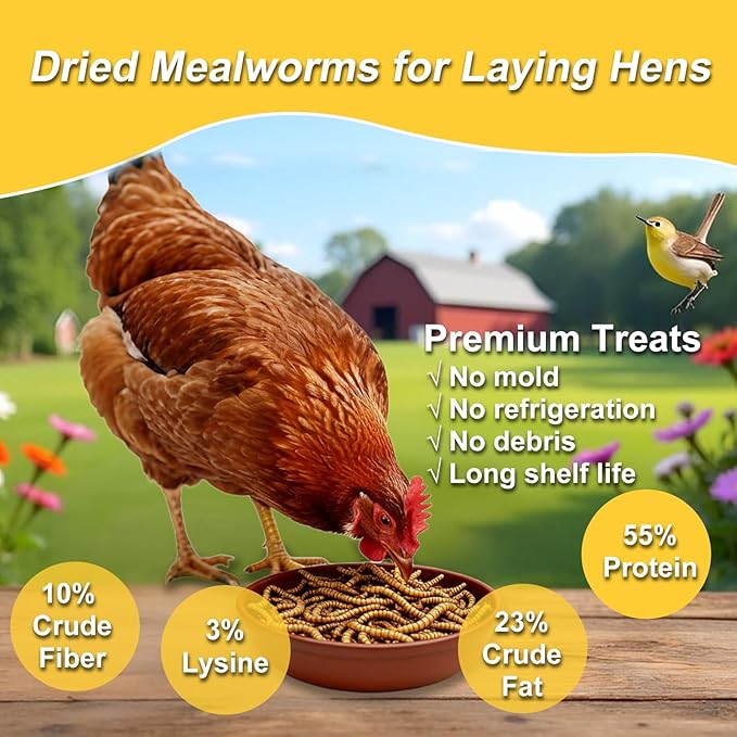 RANZ 10LBS Non-GMO Dried Mealworms for Chickens, High Protein Meal Worms, Premium Chicken Feed, Perfect Bird Food and Chicken Treats, Whole Large Mealworms for Wild Birds, Ducks, Fish