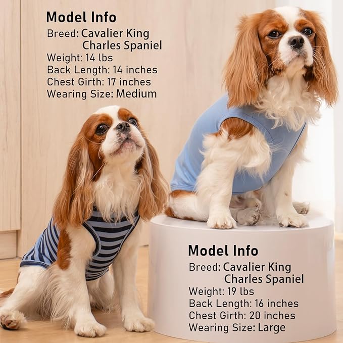 KYEESE 2Pack Dog Shirts Striped T Shirt Cotton Tank Top Soft Tee for Small Dogs Lightweight Clothes Sleeveless Dog Vest, Medium,Dark Blue+Striped