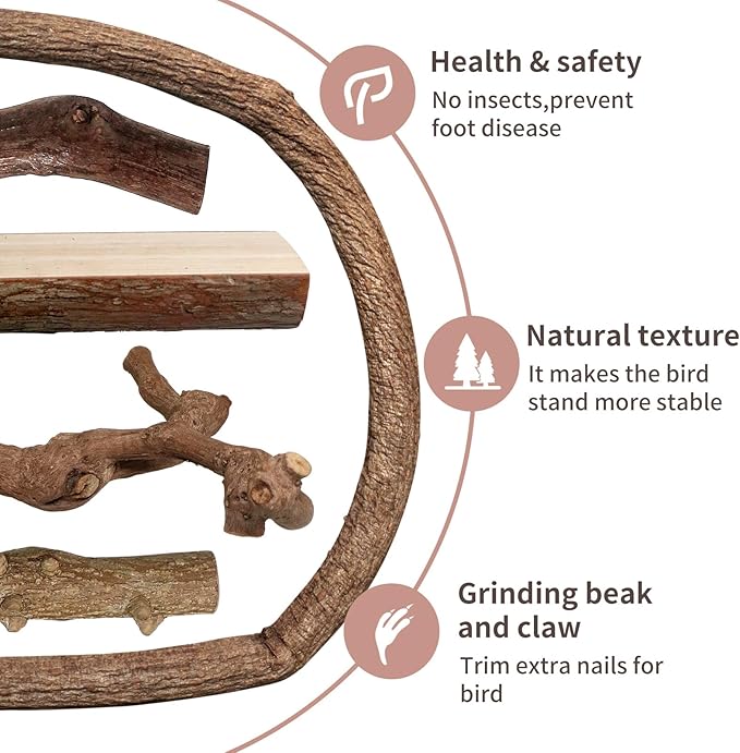 Bird Perches, 5pcs Natural Wood Birds Stand Branch, Bird Perch Chewing Stick Cage Accessories Parrot Climbing Standing Branches Paw Grinding Fork Sets for Cockatiels Ringneck Parrots