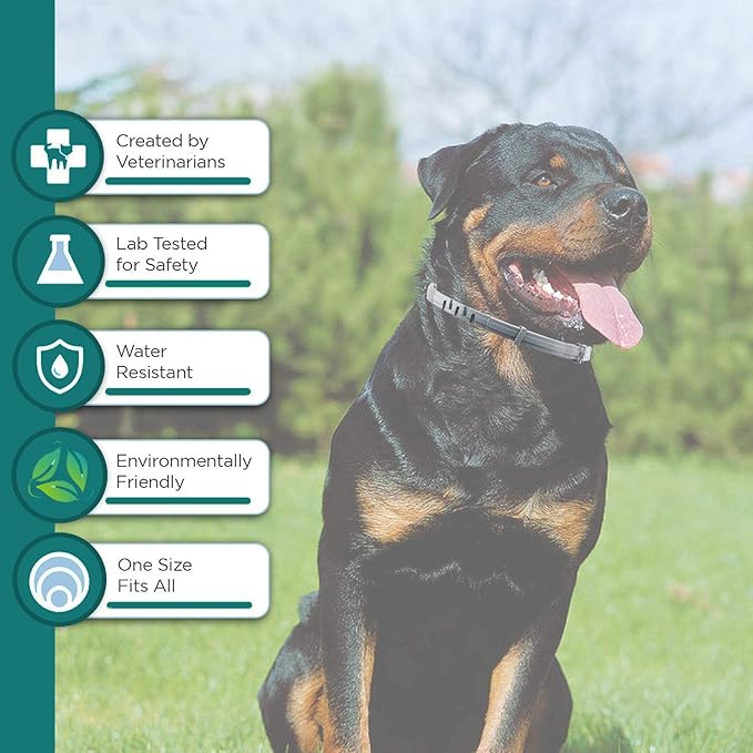 Natural Flea and Tick Collar for Puppies - Provides 24-Month Protection, Safe Pest Control - Waterproof and Strong - Includes Free Flea Comb and Tick Tweezer - 4-Pack