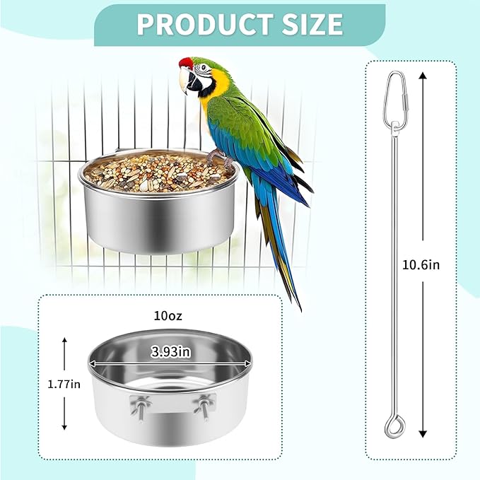 2 Pcs Bird Feeding Dish Cups with 3 Pcs Food Holder for Cage, Parrot Food Water Bowls and Fruit Vegetable Skewer Foraging Toy, Stainless Steel Bird Feeders for Small Animals -Silvery,5 Pcs