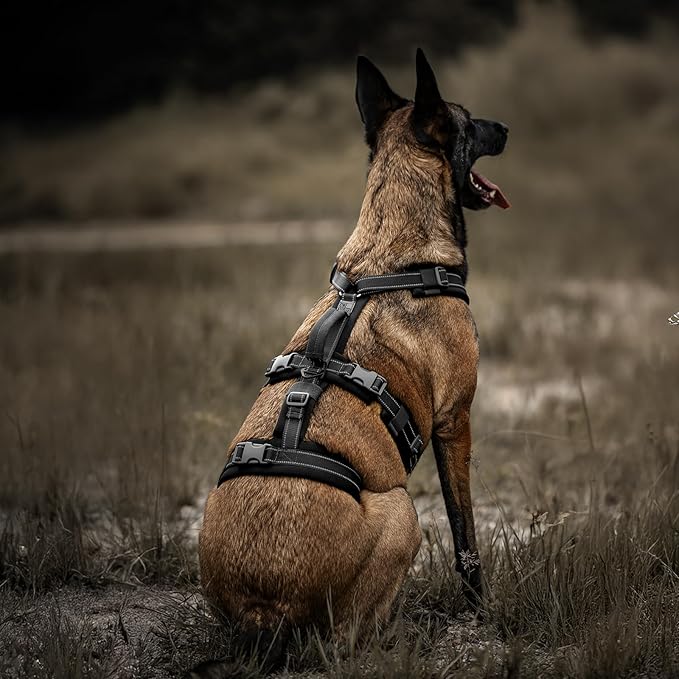 OneTigris Dog Harness No Pull, Adjustable Tactical Harness with Soft Padding, Y-Shaped Reflective Easy Walk Dog Harness for Medium and Large Dogs