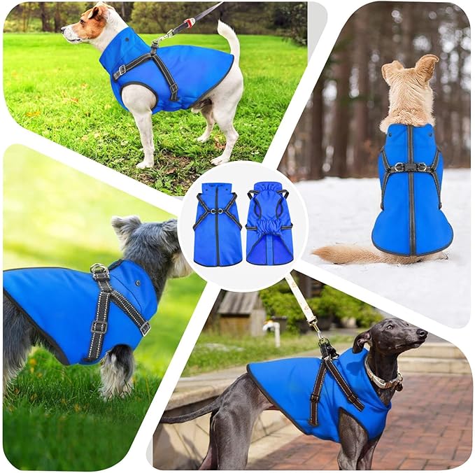 Mosucoirl Dog Raincoat Waterproof Dog Hoodie Reflective Doggie Raincoat Hooded Adjustable Rain Jacket for Small Medium Large Dogs Puppies Doggie Black Red Yellow Green (Blue, M)