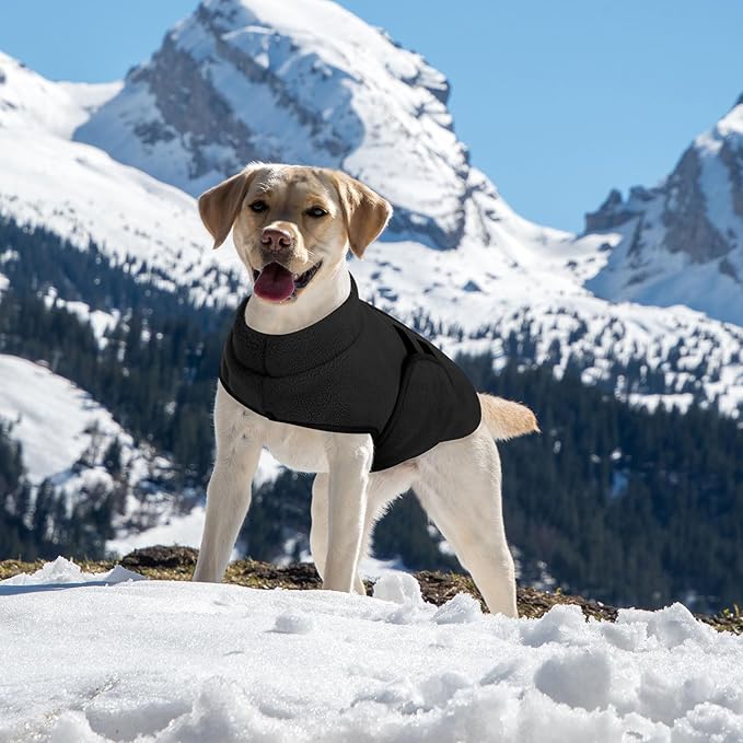 Queenmore XL Dog Sweaters, Soft Fleece Vest Pullover Dog Jacket with Leash Hole, Warm Winter Dog Clothes Cold Weather Doggy Dachshund Sweater for Large Dogs Cats Boy or Girl (Black, XL)