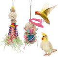 Wontee Bird Toys Colorful Shredding Crinkles Foraging Toys Natural Sola Ball for Parrots Cockatiels Conures Parakeets Budgies Senegal (Sola Ball (2 Pack))