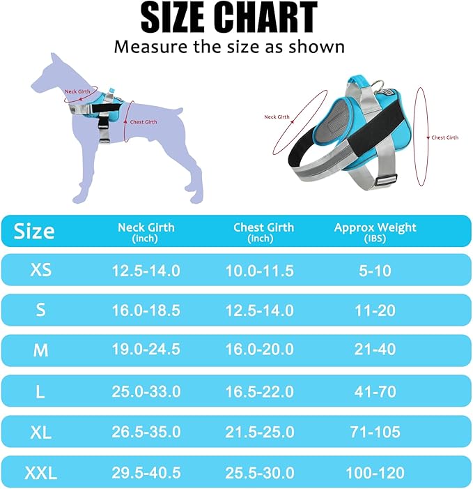 Bolux Dog Harness, No-Pull Reflective Dog Vest, Breathable Adjustable Pet Harness with Handle for Outdoor Walking - No More Pulling, Tugging or Choking (OceanicBlue, Medium (Pack of 1))