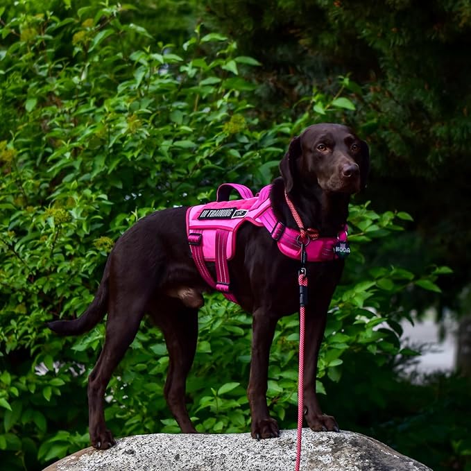 Dog Harness for Large Dogs Heavy Duty, No Pull Tactical Dog Harness with Molle System, Easy On and Off Service Dog Vest, Breathable Padded, Adjustable Reflective Pet Vest for Walking Hiking Training