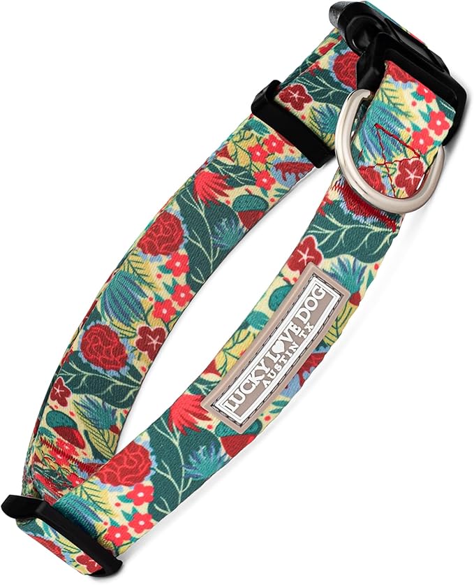 Lucky Love Dog - Adjustable Dog Collar with Easy Click Buckle for Small to Large Ones, Durable, & Comfortable for Male & Female Dogs, Pet Collar for Puppies & Adult Dogs - Ginny, Small