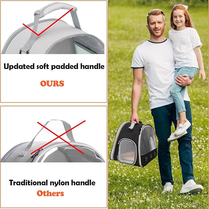 Ventilation Lizard Carrier for Bearded Dragon,Guinea Pig Carrier,Guinea Pig Carrier for 2,Reptile Travel Carrier for Lizards Sugar Glider Hedgehog Rat Parrot Birds,Airline Approved