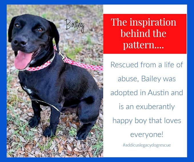 Lucky Love Dog - Adjustable Dog Collar with Easy Click Buckle for Small to Large Ones, Durable, & Comfortable for Male & Female Dogs, Pet Collar for Puppies & Adult Dogs - Bailey, Medium