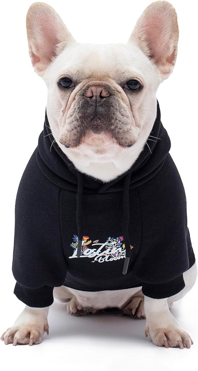 Blooming Teddy Dog Hoodie Dog Clothes Extra Warm Fleece Lining Stretchy Fit for Small Medium Large Dogs (Black, XX-Large)