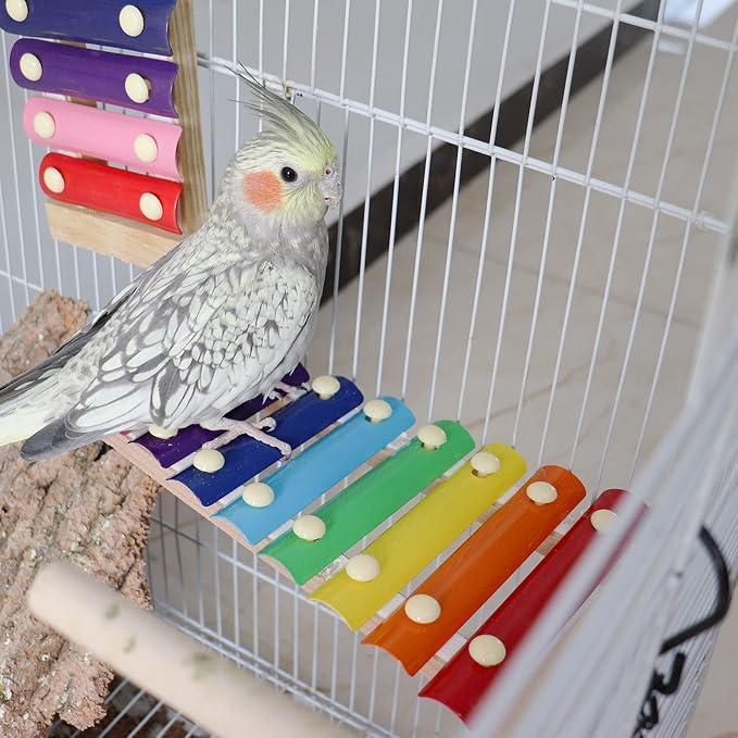 Dnoifne Colorful Bird Xylophone Toy, Funny Xylophone Toy with 8 Metal Keys, Cage Accessories for Chicken Chick Birds Parrots Parakeets Cockatiels Budgies Love Birds