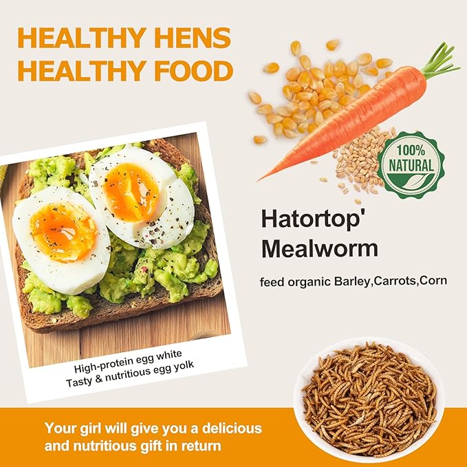 2LB Mealworms for Chickens Bulk - Non GMO High Calcium Dried Meal Worms for Wild Birds,Turkeys, Reptiles Food for Laying Hens Worms More Protein Than BSF Larvae for Chickens Treats Grubs