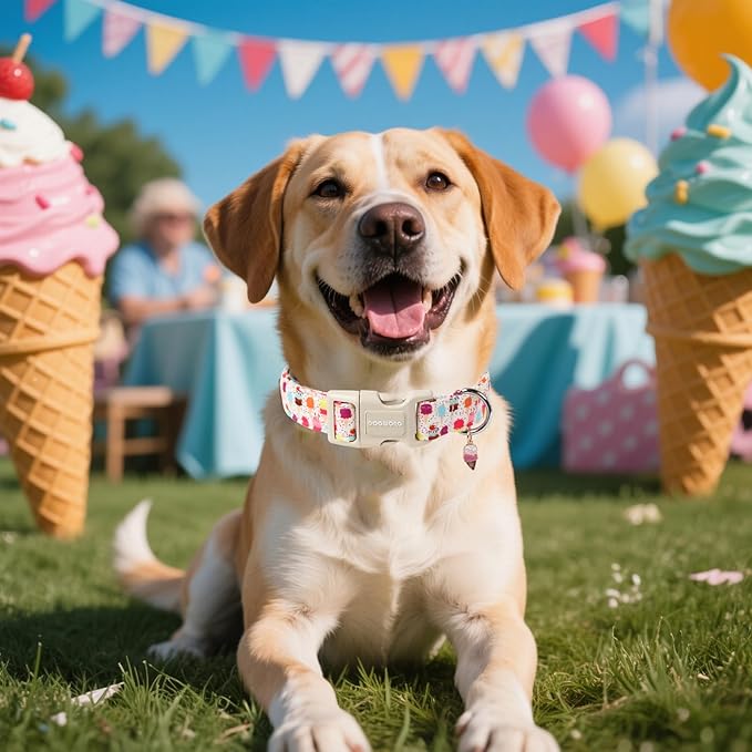 DOGWONG Summer Dog Collar, Popcile Dog Collar Durable Ice Cream Pet Dog Collars Cute Summer Beach Puppy Necklace for Small Medium Large Dogs
