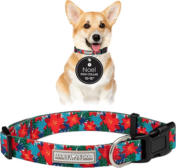 Lucky Love Dog - Adjustable Dog Collar with Easy Click Noel for Small to Large Ones, Durable, & Comfortable for Male & Female Dogs, Pet Collar for Puppies & Adult Dogs - Noel, Small