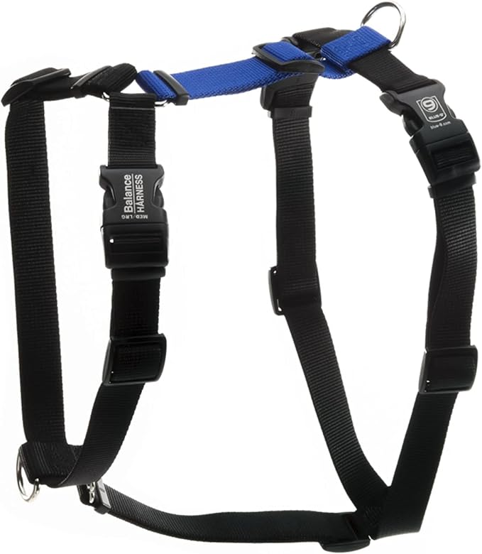Blue-9 Buckle-Neck Balance Harness, Fully Customizable Fit No-Pull Harness, Ideal for Dog Training and Obedience, Made in The USA, Blue, Medium