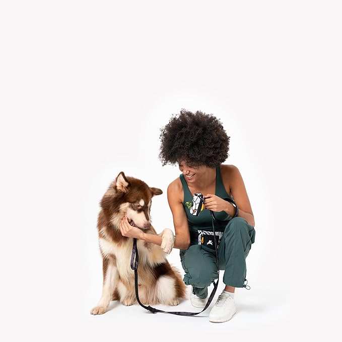 OllyDog Goodie Treat Bag, Dog Treat Pouch, Waist Belt Clip for Hands-Free Training, Magnetic Closure, Dog Training and Behavior Aids, Three Ways to Wear (Magnolia)