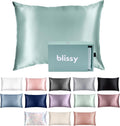 Blissy Silk Pillowcase - 100% Pure Mulberry Silk - 22 Momme 6A High-Grade Fibers - Silk Pillow Cover for Hair & Skin - Regular, Queen & King (Mint, Queen)