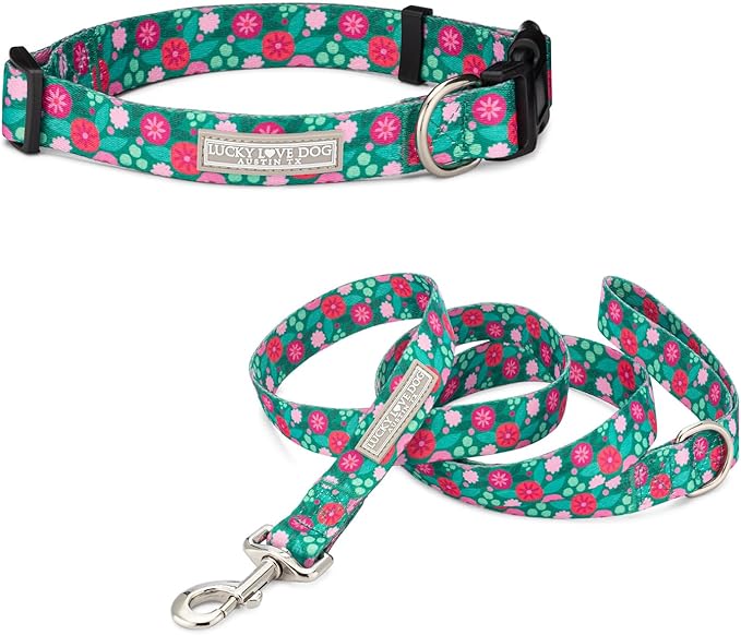 Lucky Love Dog - Adjustable Dog Collar and Leash Set with Easy Click Buckle for Small to Large Dogs, Durable, & Comfortable Collar for Male & Female Dogs, Puppies & Adult Ones - Penny Combo, Medium