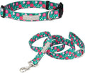 Lucky Love Dog - Adjustable Dog Collar and Leash Set with Easy Click Buckle for Small to Large Dogs, Durable, & Comfortable Collar for Male & Female Dogs, Puppies & Adult Ones - Penny Combo, Large