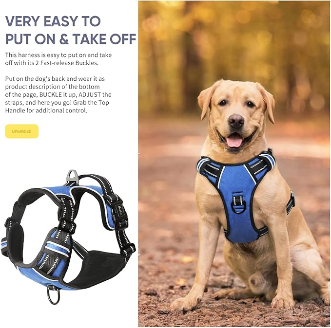 HEELE Dog Harness, No Pull Adjustable Padded Reflective Harness for Small Medium Large Dogs with Handle for Walking Training, Blue, XL