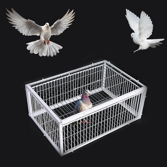Pigeon Trap Cage with Escape-Proof Design Chicken Trap Bird Cage with One Way Entrance for Sparrows Quails Bird Chick and Duckling (15.75”L x 11.8” W x 10.24” H)